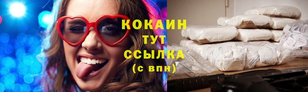 дмт Елизово