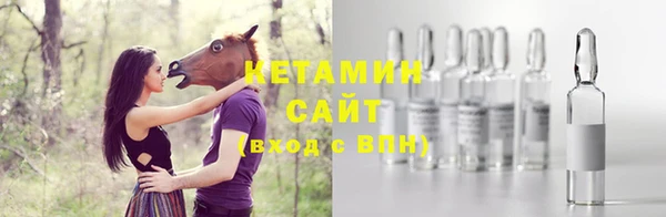 ECSTASY Ельня