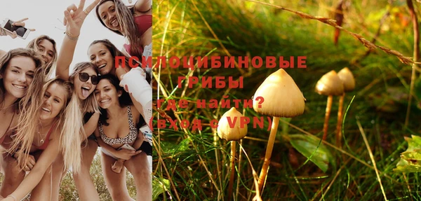 2c-b Елабуга