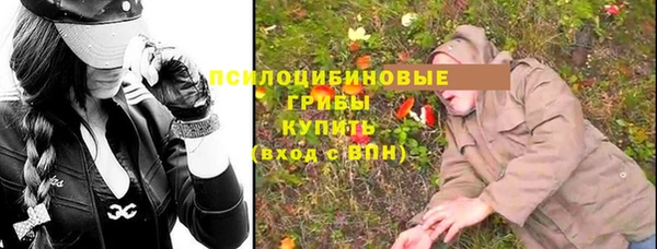 2c-b Елабуга