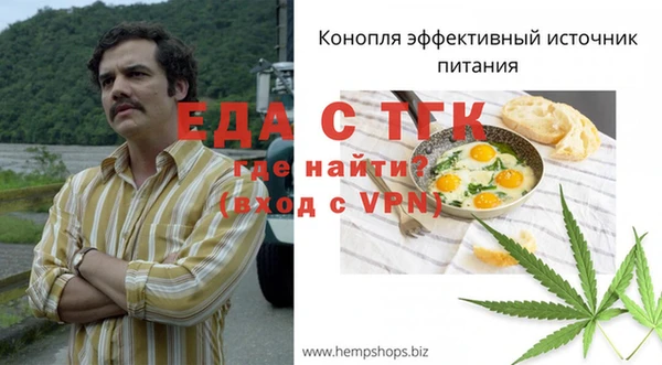 ECSTASY Ельня