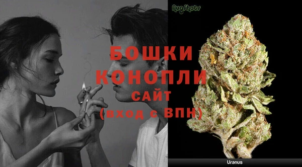 ECSTASY Ельня