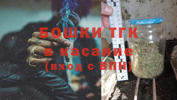 ECSTASY Ельня